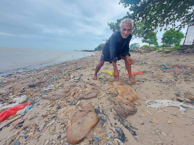 Sampah Jeroan Cemari Pantai, DLH Sebut Harusnya Dikubur