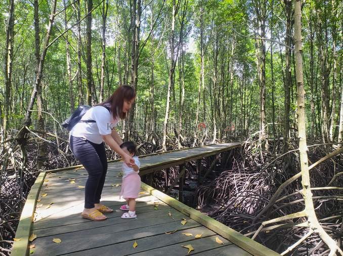 Bontang Mangrove Park, Destinasi Wisata Sarat Edukasi