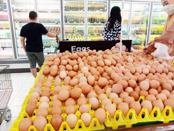 Meski Harga Naik, Pasokan Telur Ayam di Kalsel Aman