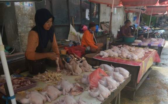 PUSING..!! Harga Sembako di Banjarmasin Mulai Merangkak Naik, Harga Daging Ayam Tembus Rp60 ribu